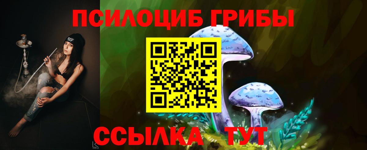 Нижний Новгород  Псилоцибиновые грибы Psilocybe  Вход с VPN 